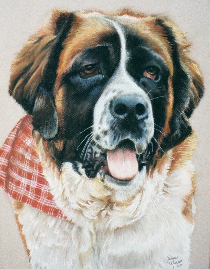 Pastel portrait by James Wiren