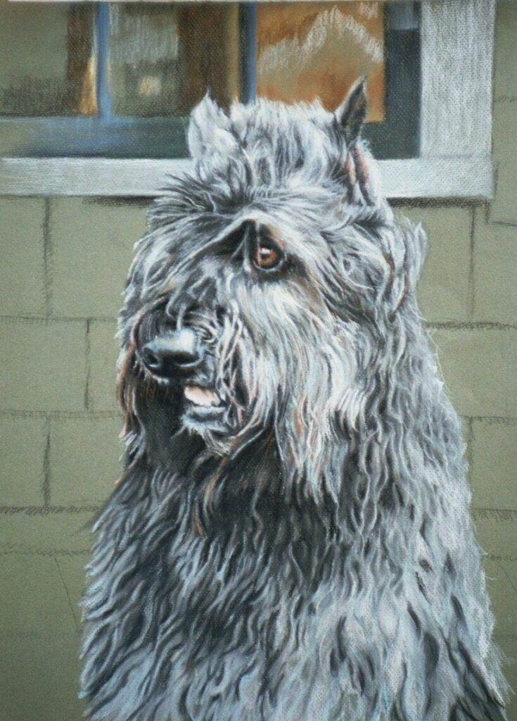 Pastel Portrait by James Wiren