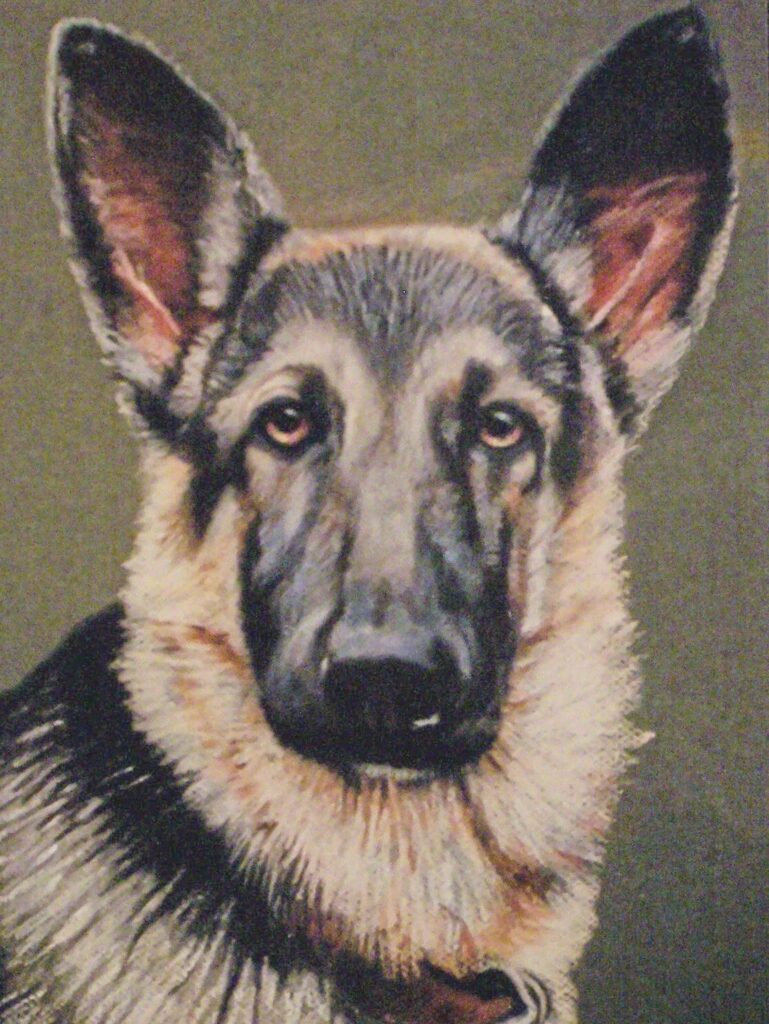 Pastel Portrait by James Wiren