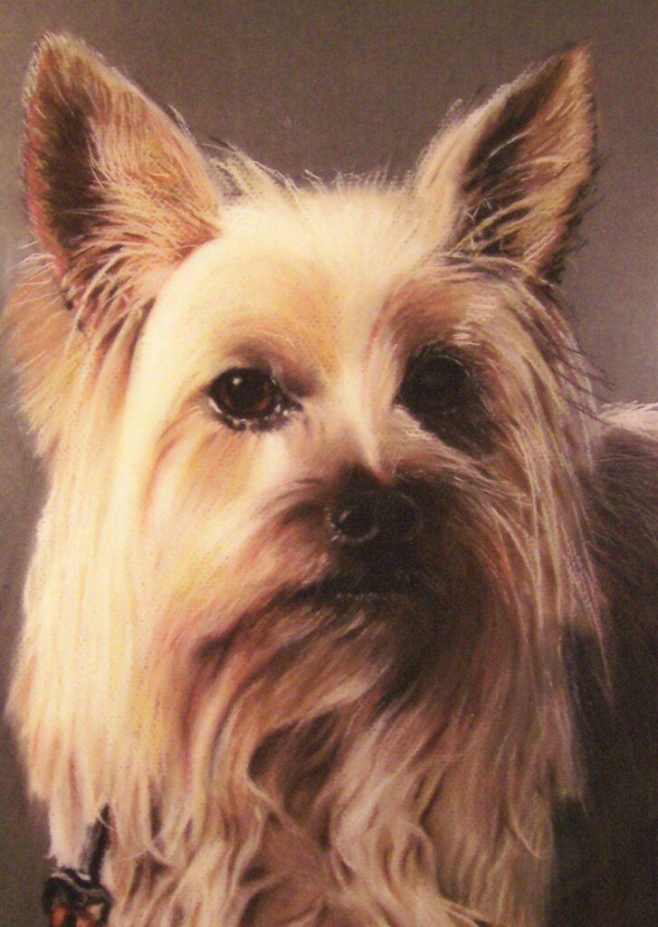 AWAS Portrait by James H. Wiren