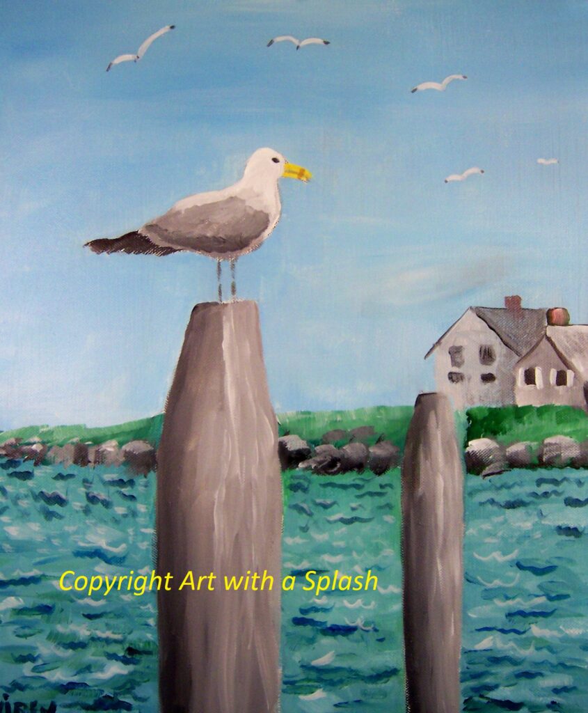 AWAS Summer Seagull